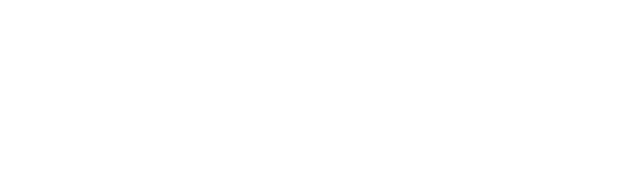 dinaryvir.com